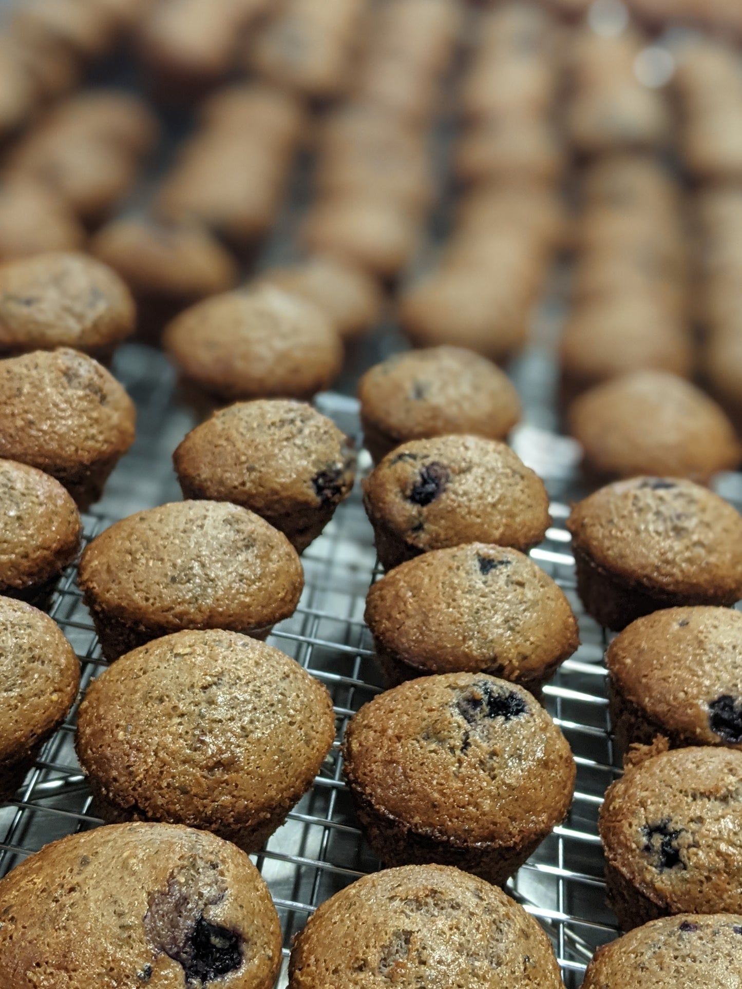 Case: 6 x One-dozen Signature Mini-Muffins