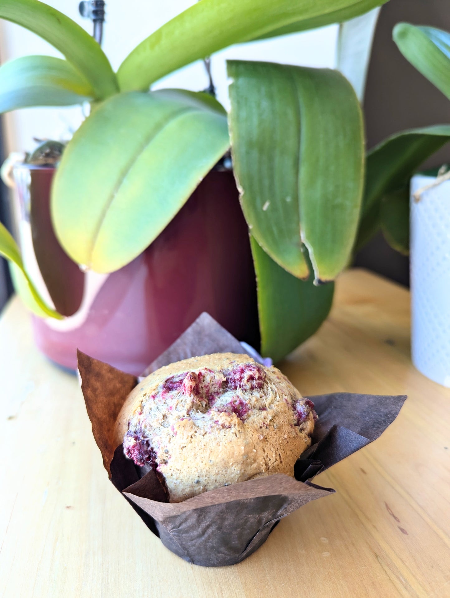Raspberry and Sage Muffin