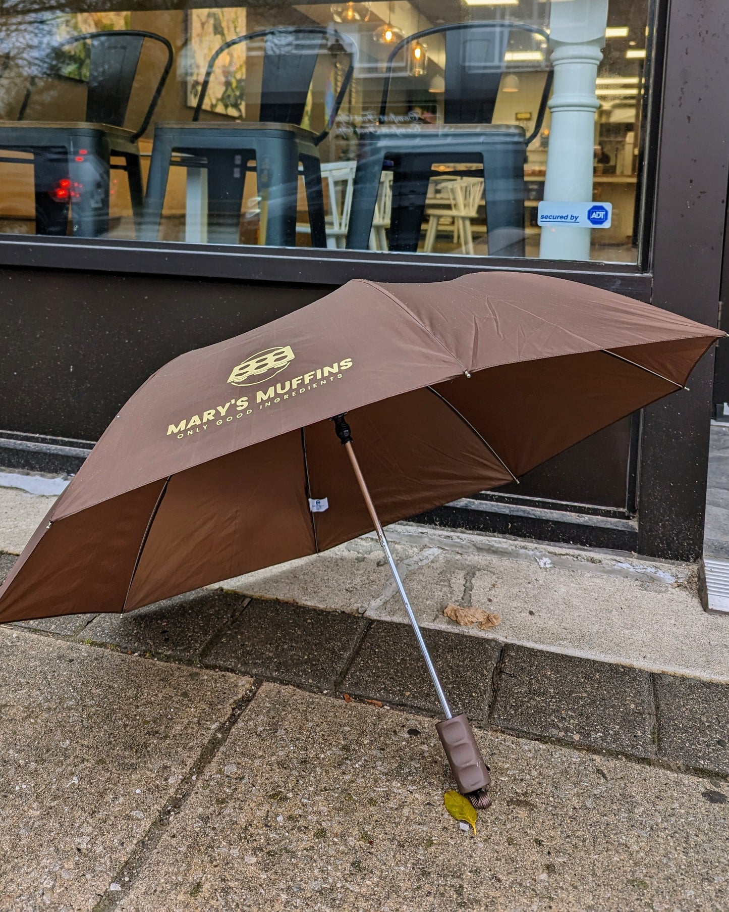 Umbrella