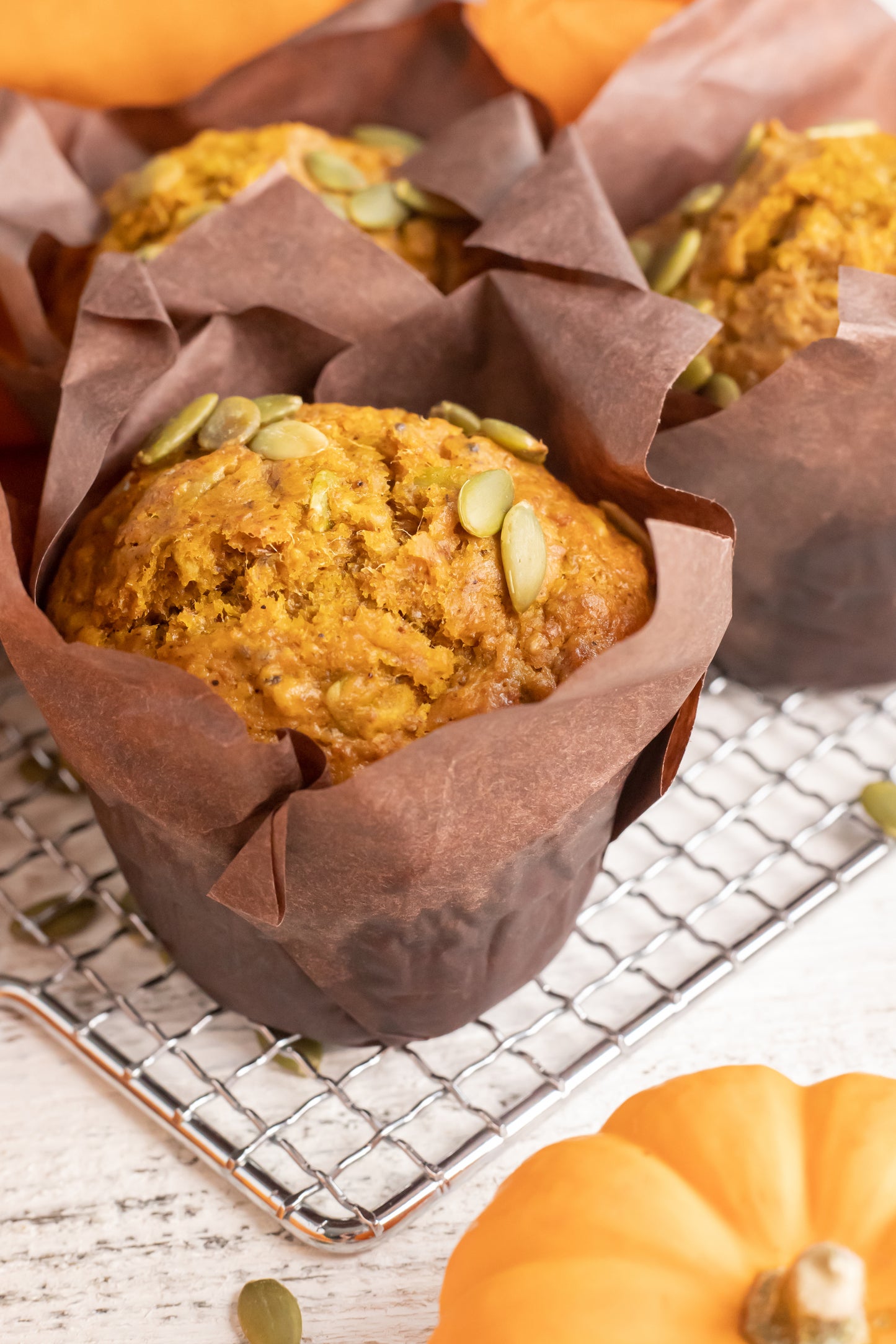 Pumpkin Spice and Seed Muffin - Returning Fall 2024