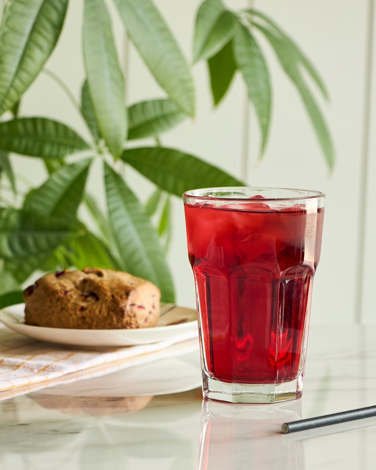 Iced Organic Elderberry Hibiscus Tea