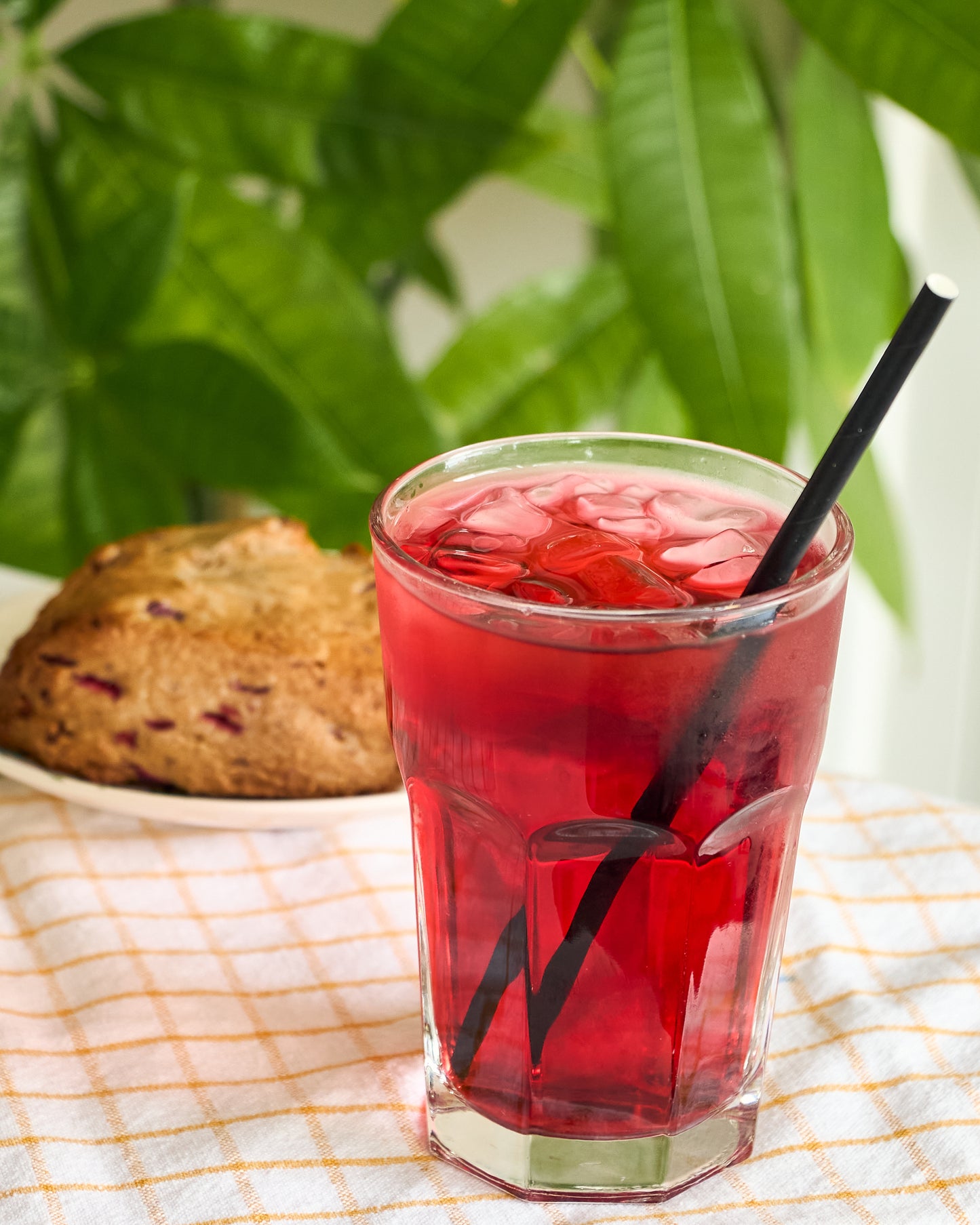 Iced Organic Elderberry Hibiscus Tea