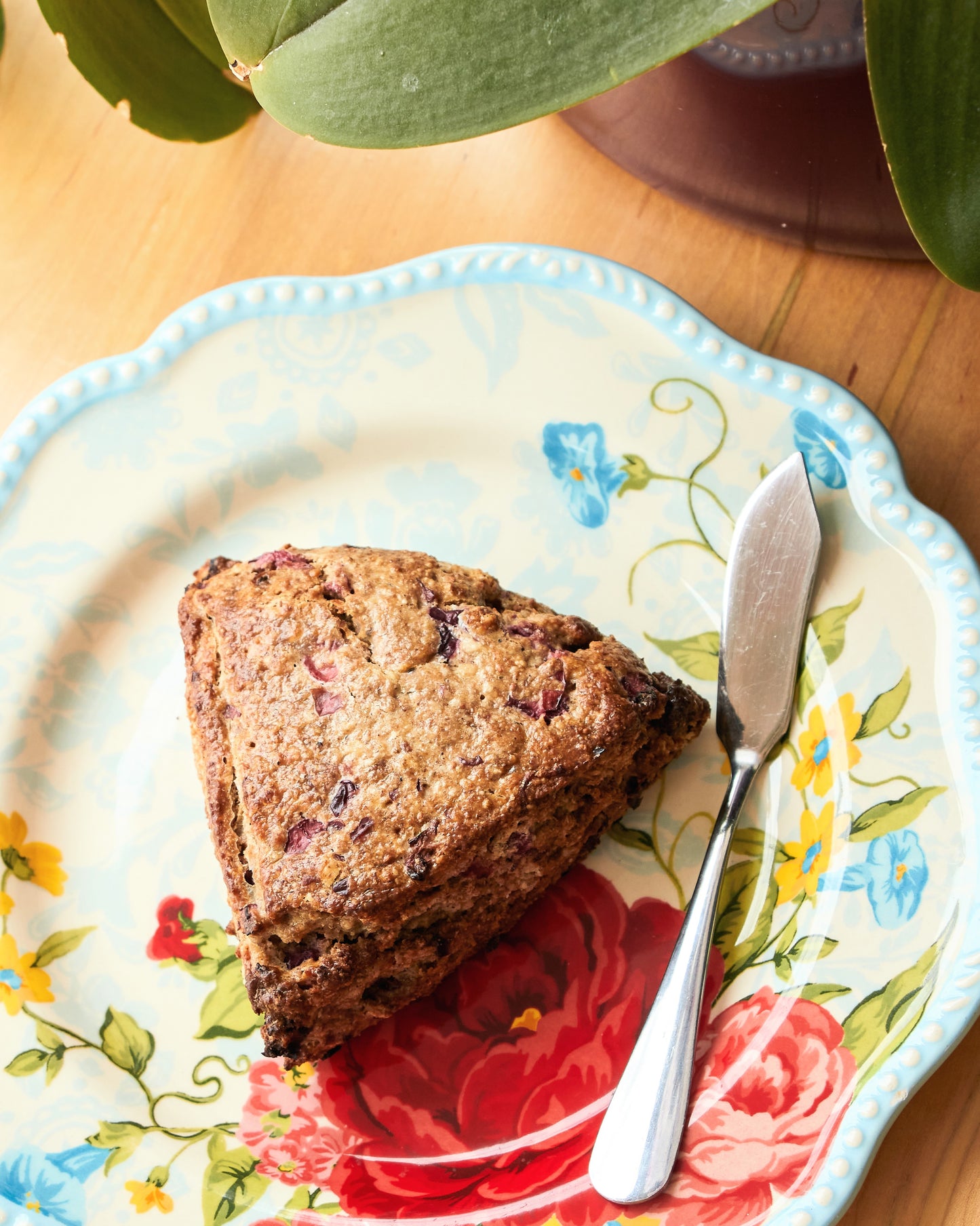 Cranberry Goat Cheese Scone