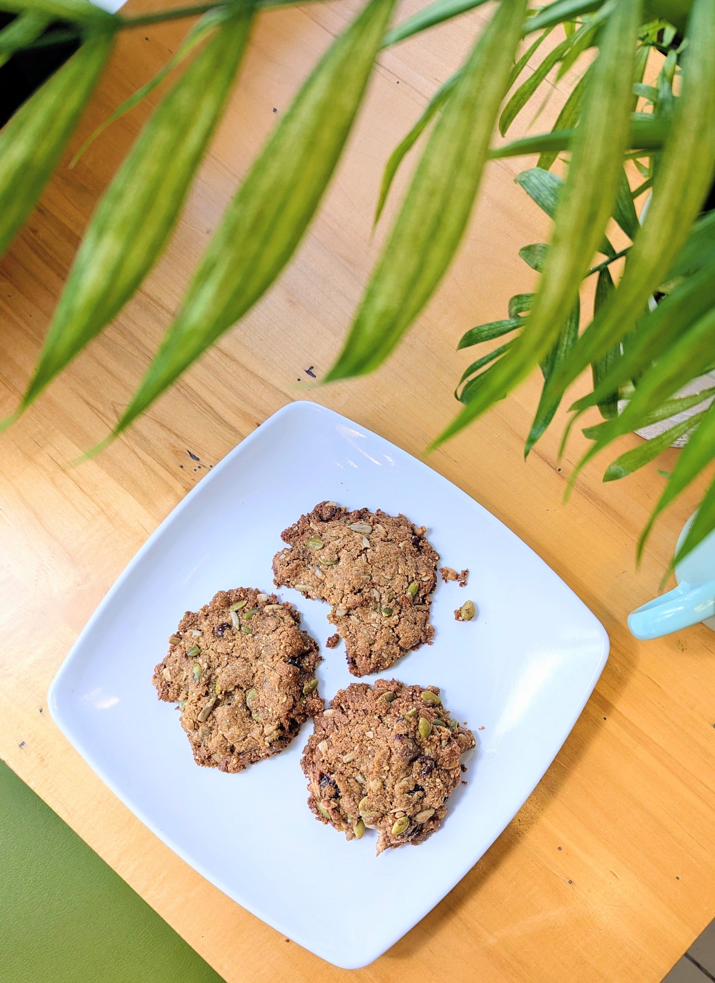 A nutritious Trail Mix Breakfast Cookie, a gluten-free and vegan morning food option packed with whole oats, seeds, and dark chocolate chips.