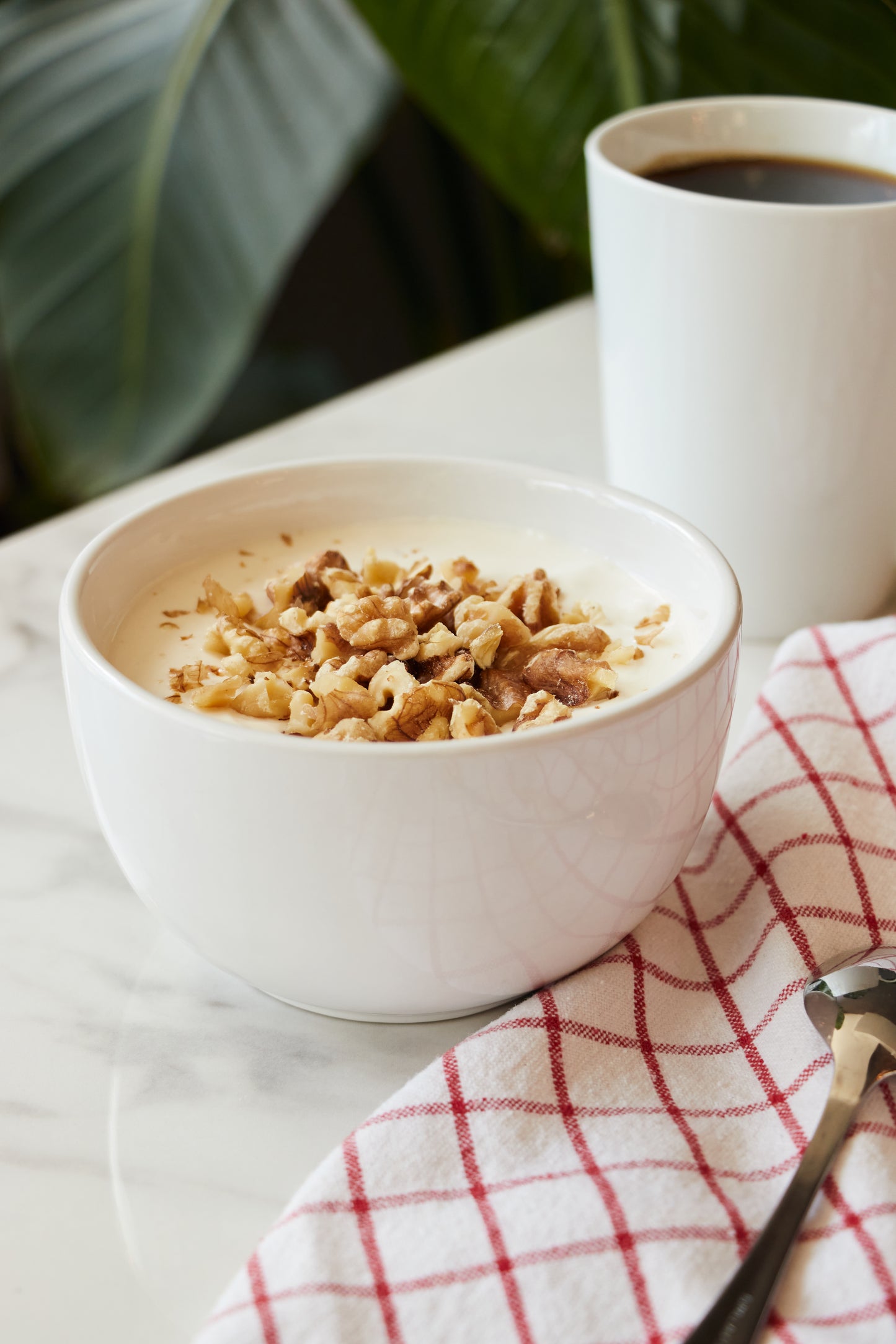 Greek Yogurt Bowl with Honey and Walnuts