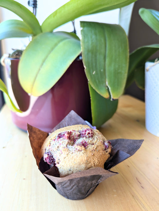 Raspberry and Sage Muffin
